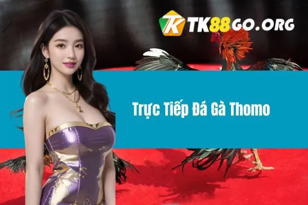 Trực Tiếp Đá Gà Thomo